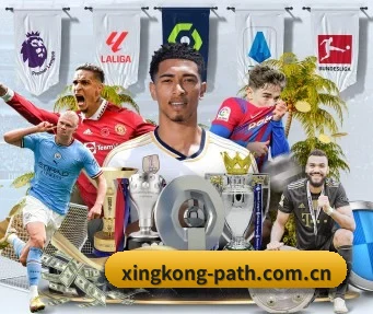 星空体育官网入口 APP（XINGKONGSPORTS）